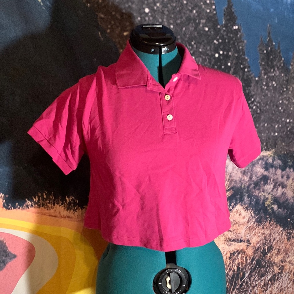 NWT wild fable pink collared short sleeve crop top